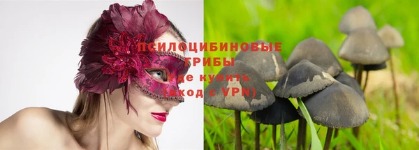 хмурый Абинск