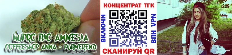 ТГК концентрат  Нолинск 