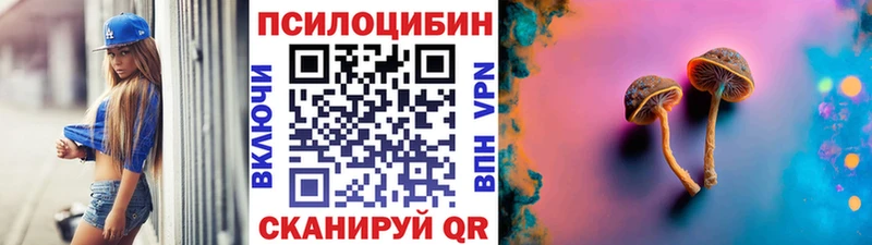 гидра tor  Нолинск  Псилоцибиновые грибы GOLDEN TEACHER 